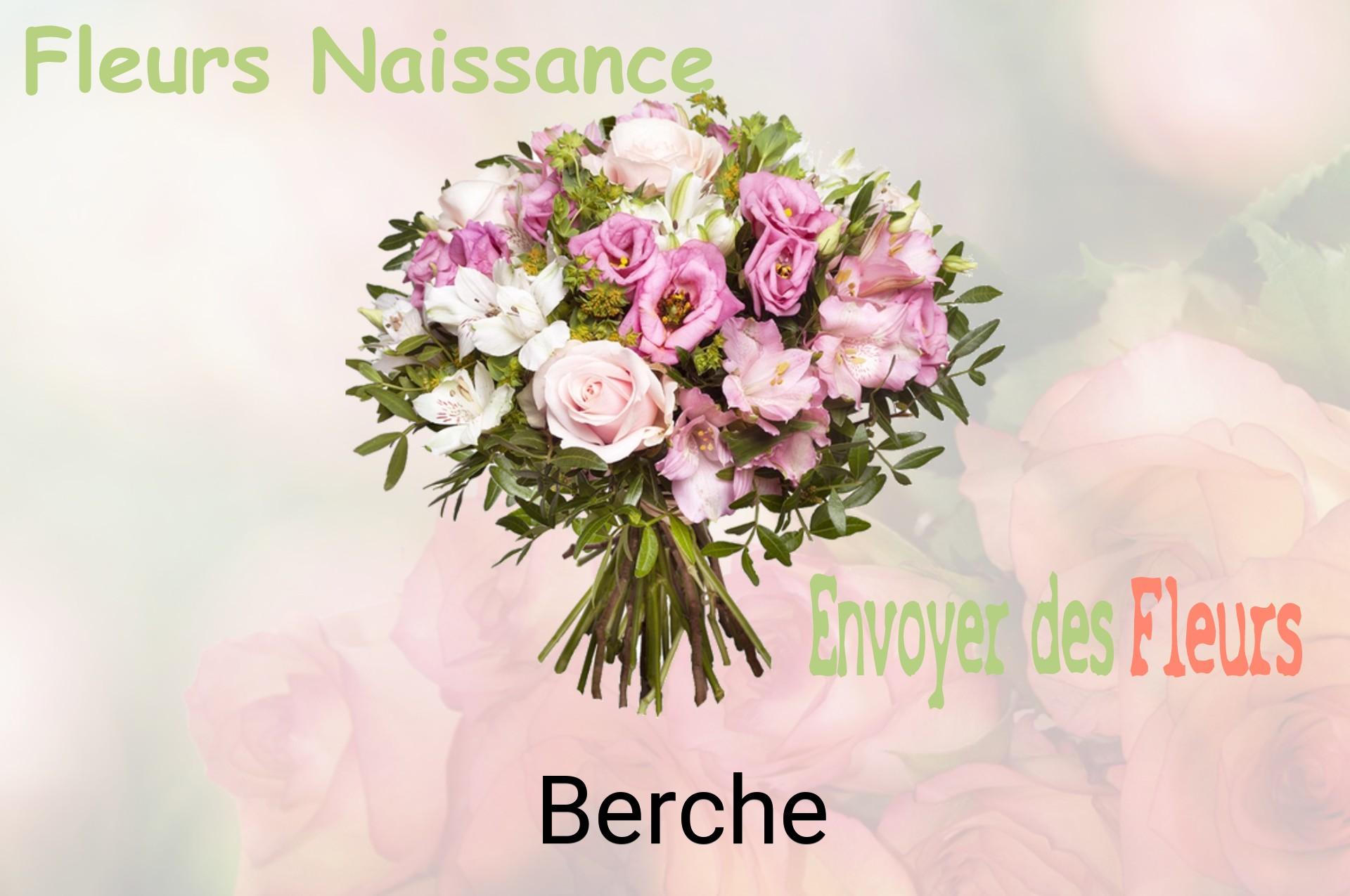 Bouquet de fleurs de naissance livré à Berche