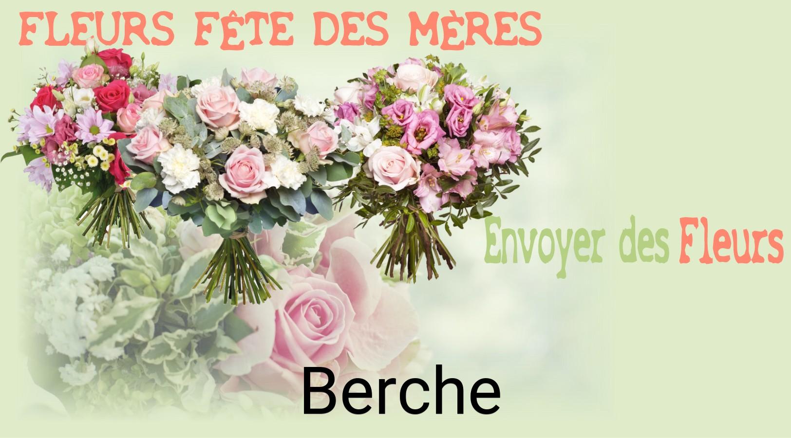 Bouquet de Fête des Mères livré à Berche